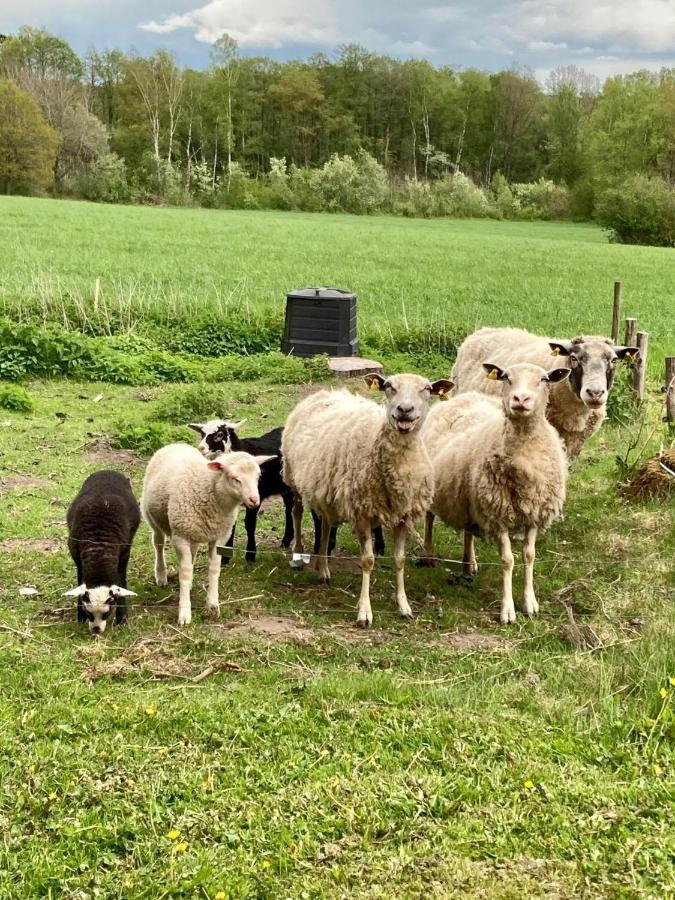 Yxnaholma Rum Höör Eksteriør billede